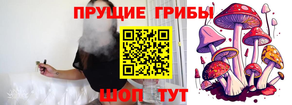 Галлюциногенные грибы GOLDEN TEACHER Чебаркуль